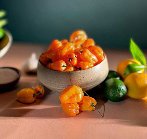 Fresh pepper ingredients in a bowl